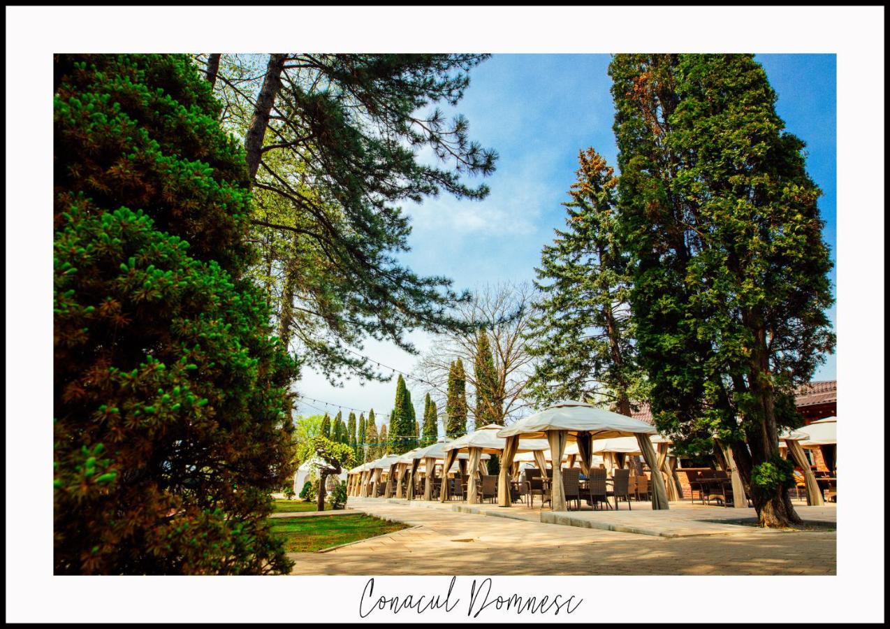 Conacul Domnesc Hotel Scheia Buitenkant foto